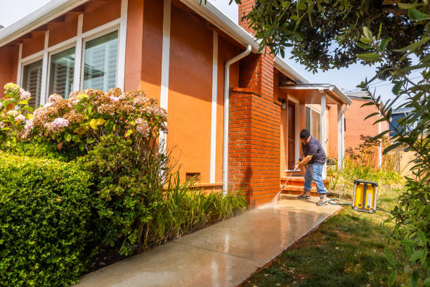 Best Best Pressure Washing Companies  in University Place, WA